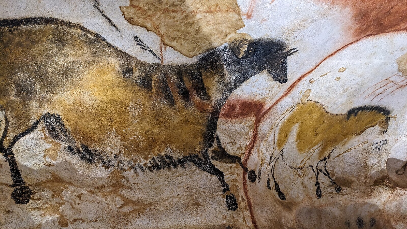 A black aurochs bull painted on the pale rock wall of Lascaux, with a yellow horse figure to the right.